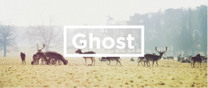 ghost blogging platform